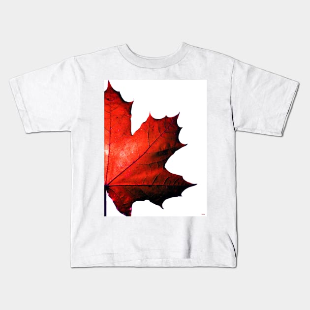 Maple Kids T-Shirt by danieljanda